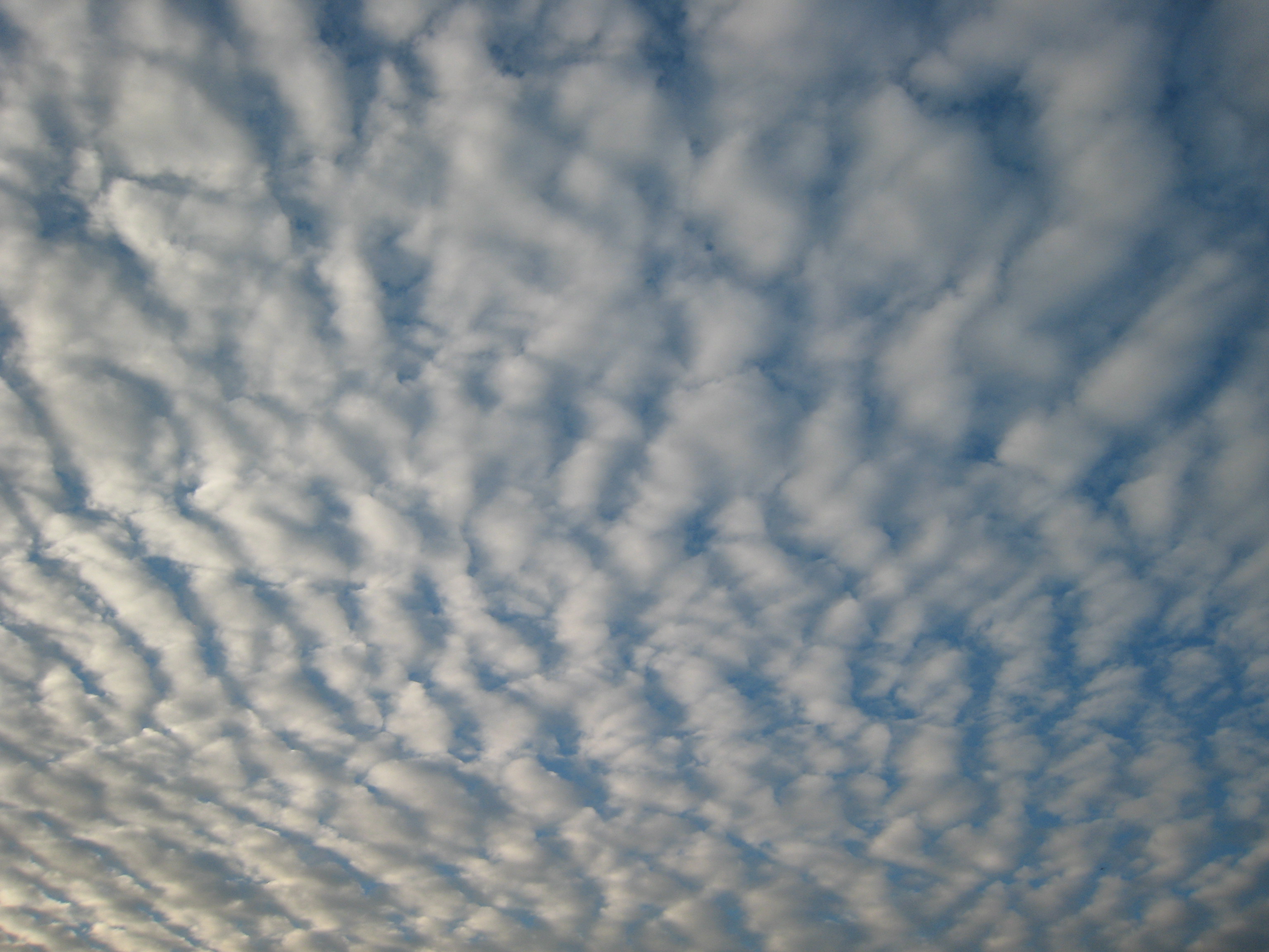 うろこ雲の季節とその発生理由 地震雲との違いは何かって